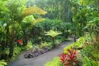 Du lịch Hawaii