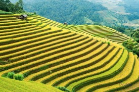 Quy định đổi, hoàn, trả vé
