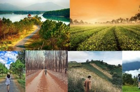 Kinh nghiệm du lịch Gia Lai từ A->Z