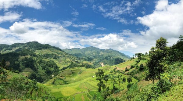 MÙ CANG CHẢI - NẤC THANG LÊN THIÊN ĐƯỜNG