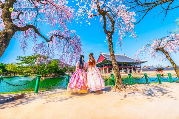TOUR HÀN QUỐC 5 NGÀY 4 ĐÊM