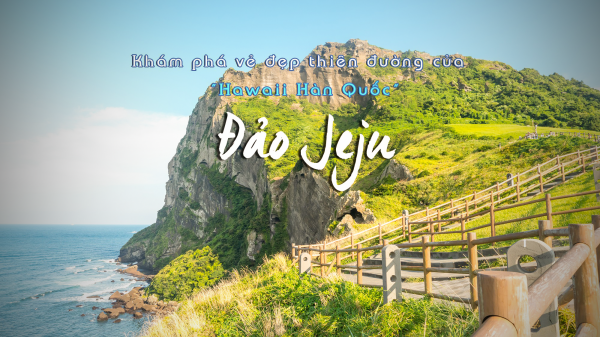 Tất tần tật về những gì bạn cần biết khi du lịch đảo Jeju tự túc