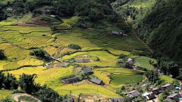 Hãy thử một lần khám phá vẻ đẹp thung lũng Mường Hoa từ trên cao