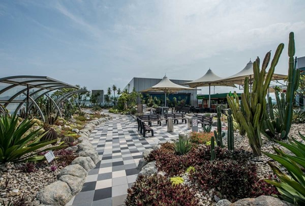 Du khách ví sân bay Singapore như công viên Disneyland